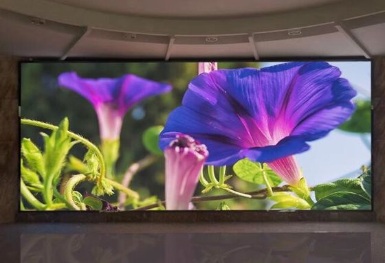 Alta durabilidad y fácil instalación para pantalla LED flexible